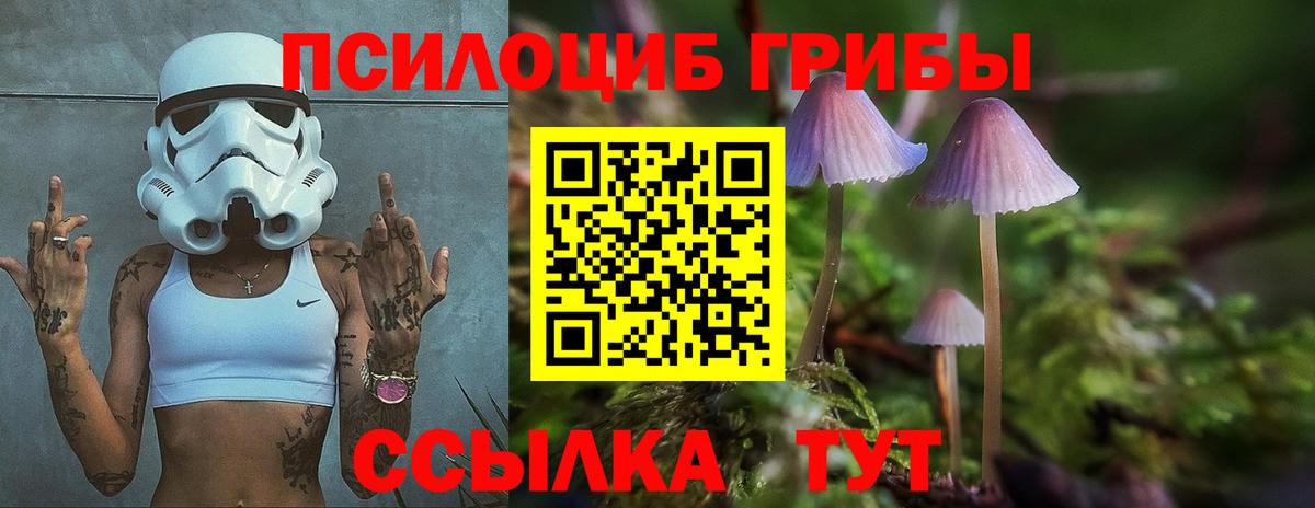 Галлюциногенные грибы Cubensis  Псилоцибиновые грибы MAGIC MUSHROOMS  цена наркотик  Видное  Вход с VPN 