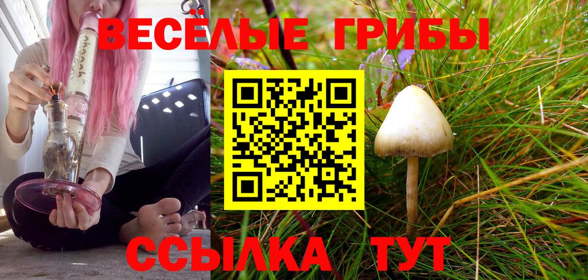 Псилоцибиновые грибы мухоморы Видное